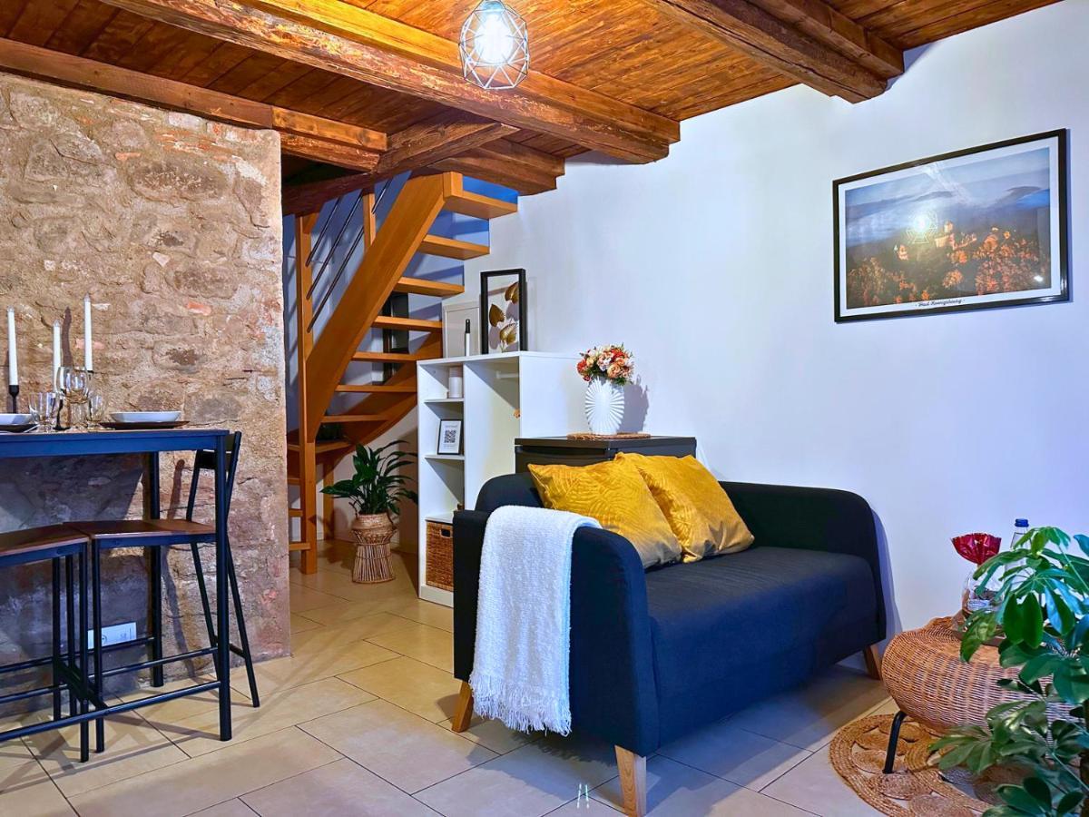 Le Petit Chataignier - Cozy Immo Chatenois  Bagian luar foto