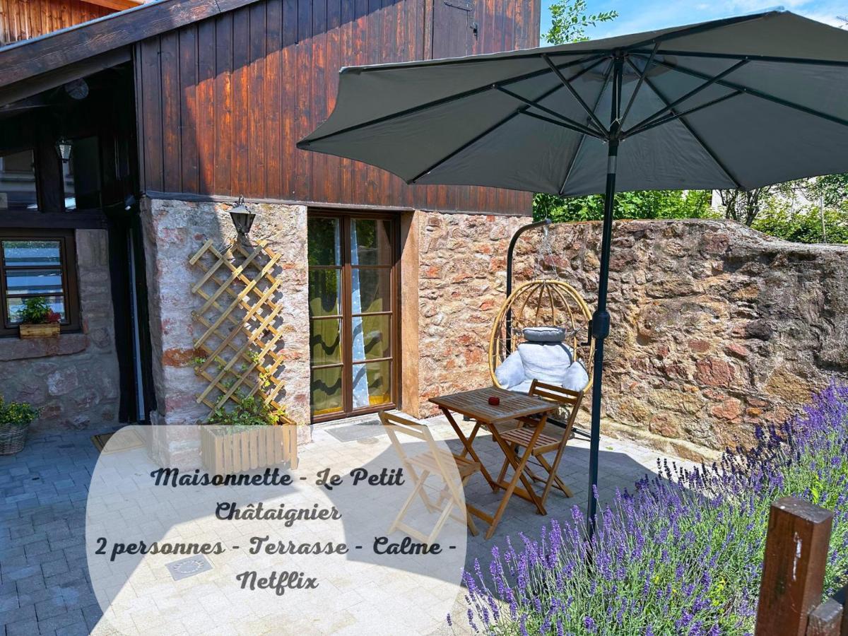 Le Petit Chataignier - Cozy Immo Chatenois  Bagian luar foto