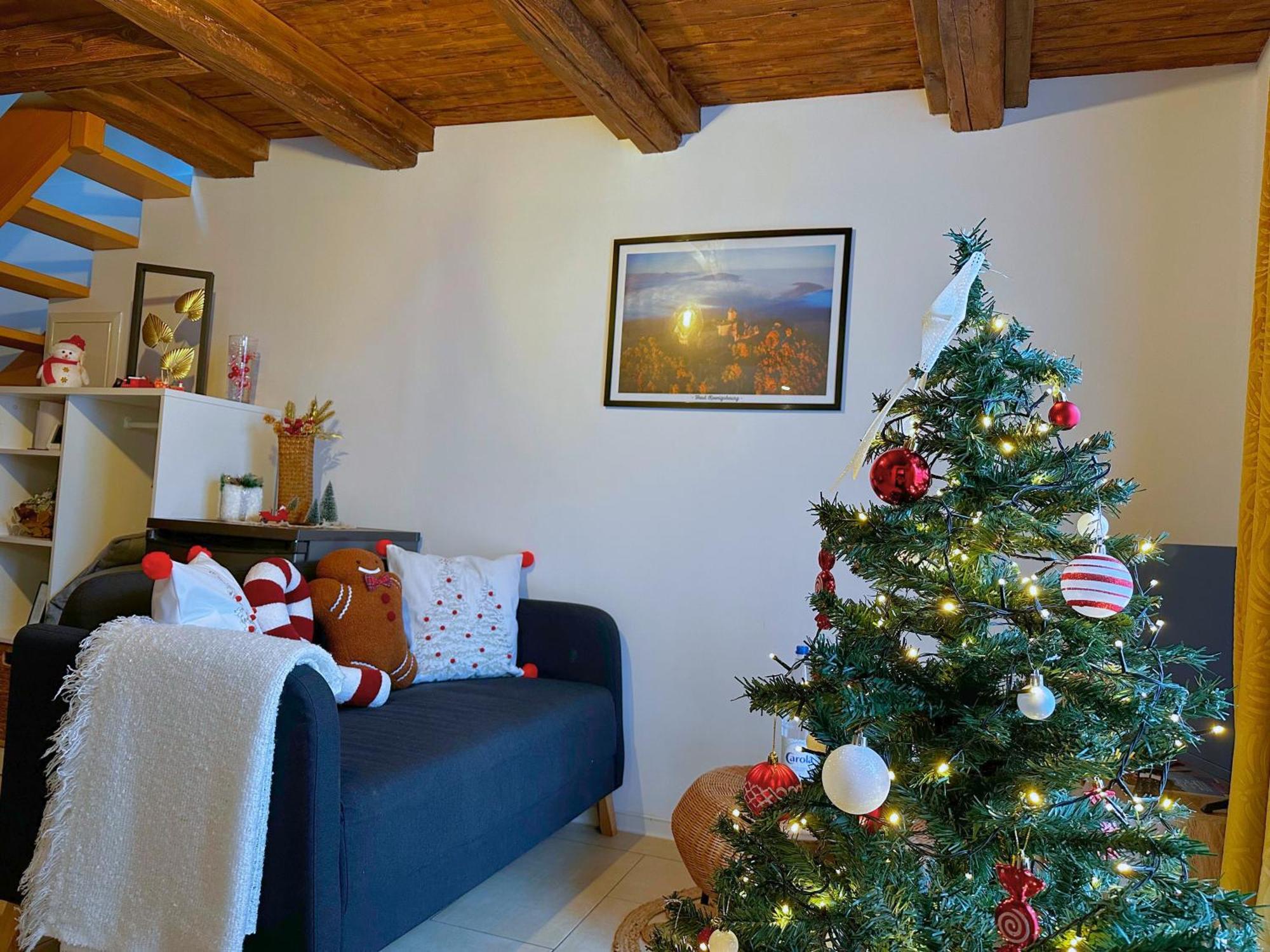 Le Petit Chataignier - Cozy Immo Chatenois  Bagian luar foto